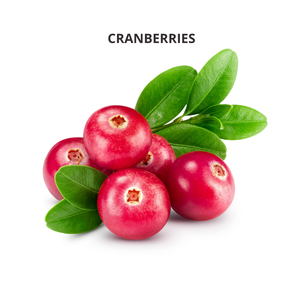 Buy Fresh Cranberry Spotless Fruits India