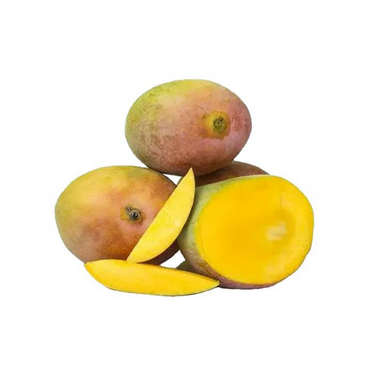 Buy Lalbagh Mango - Spotless Fruits India