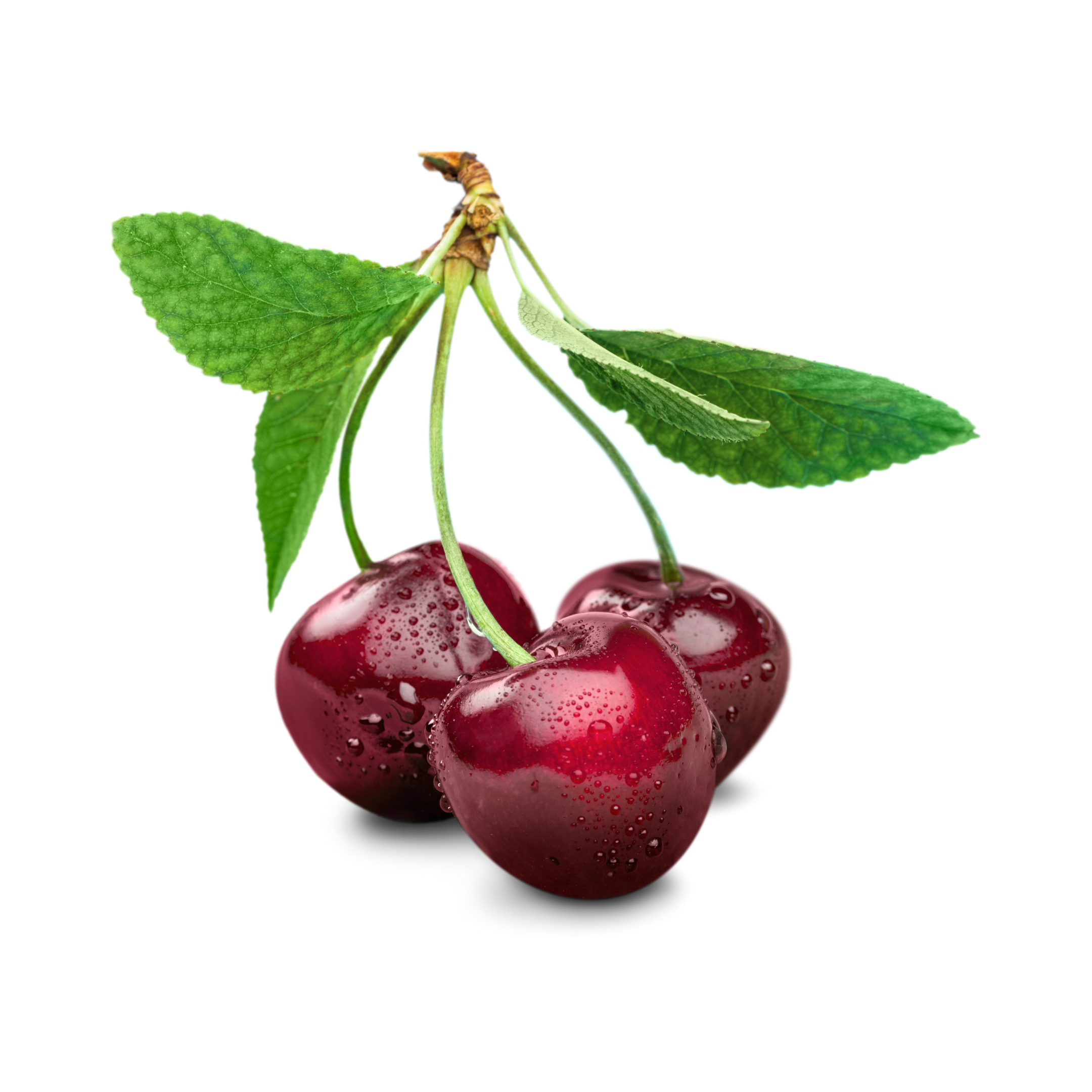 CHERRY IMPORTED - Turkey - Spotless Fruits India