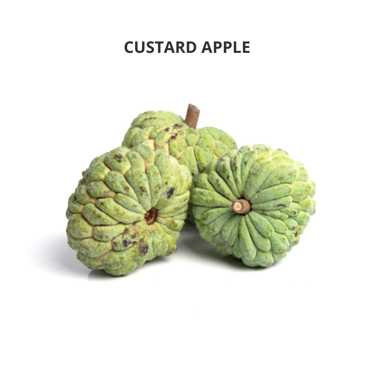 CUSTARD APPLE - Spotless Fruits India