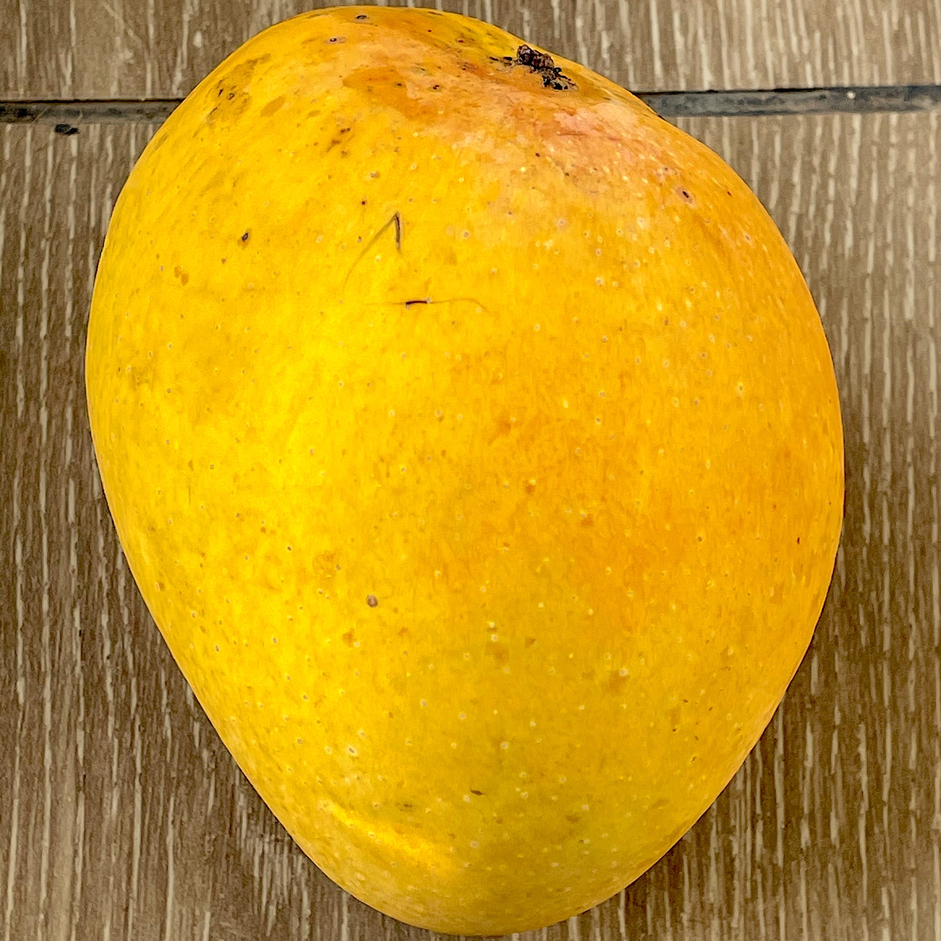 Alphonso Mangoes - Jumbo (350 - 400 Grams) - Spotless Fruits India