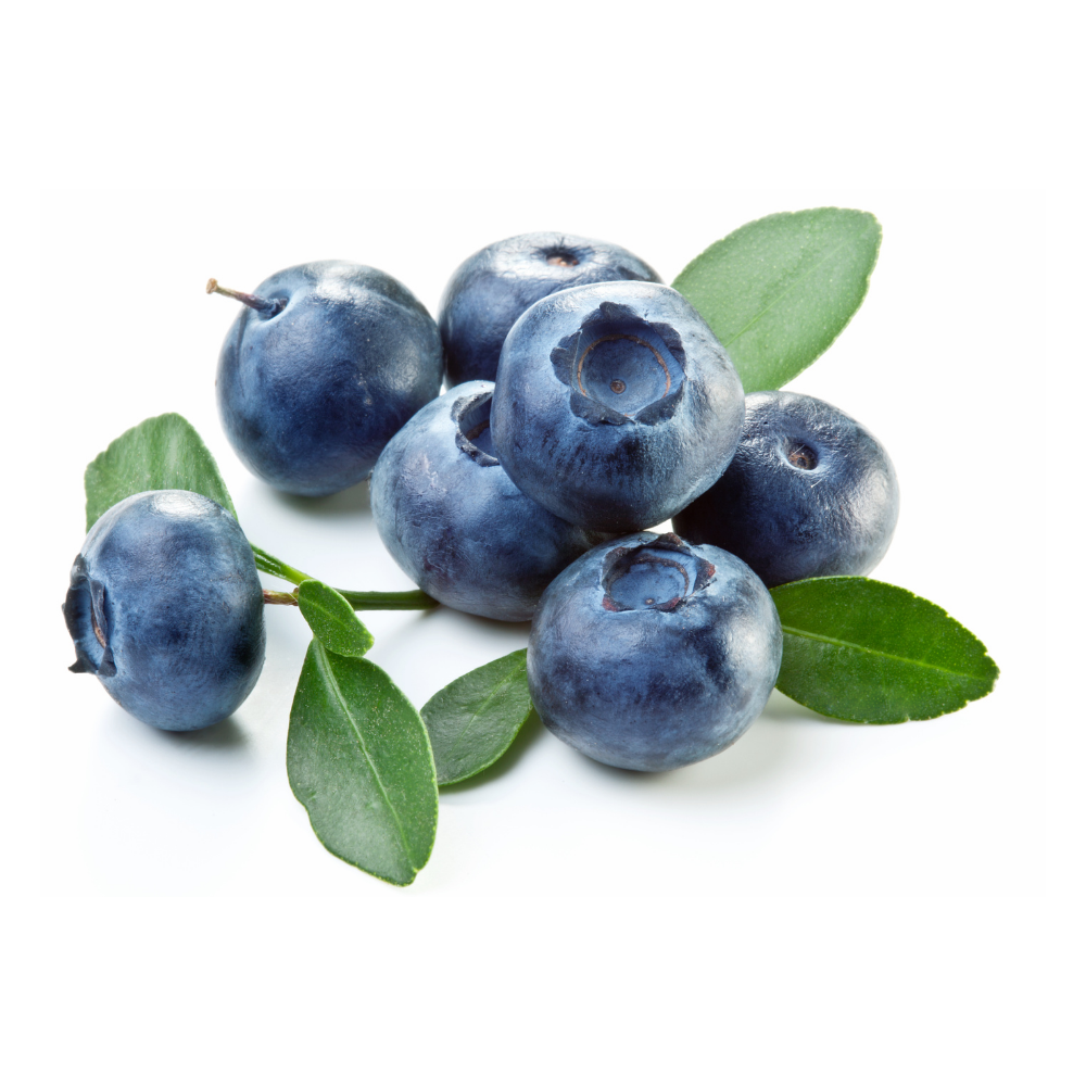 Buy Fresh Blueberry - Imported | Spotless Fruits India