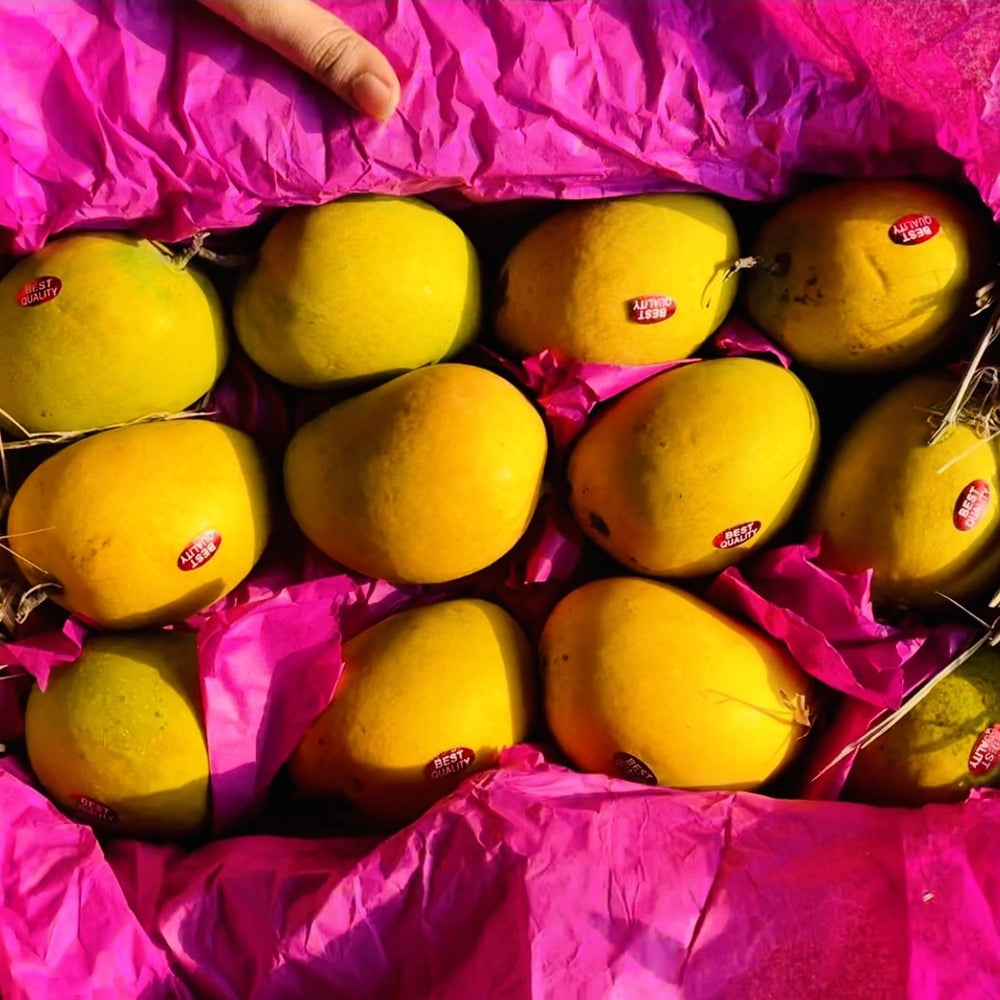 Devgad Alphonso Mangoes - A1 Grade Export Quality