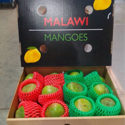 Buy Malawi Alphonso Mangoes