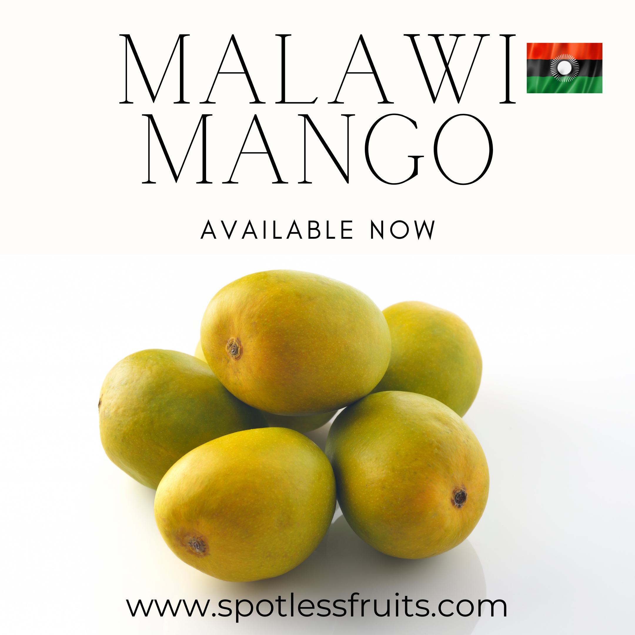 Malawi Alphonso Mangoes - Imported