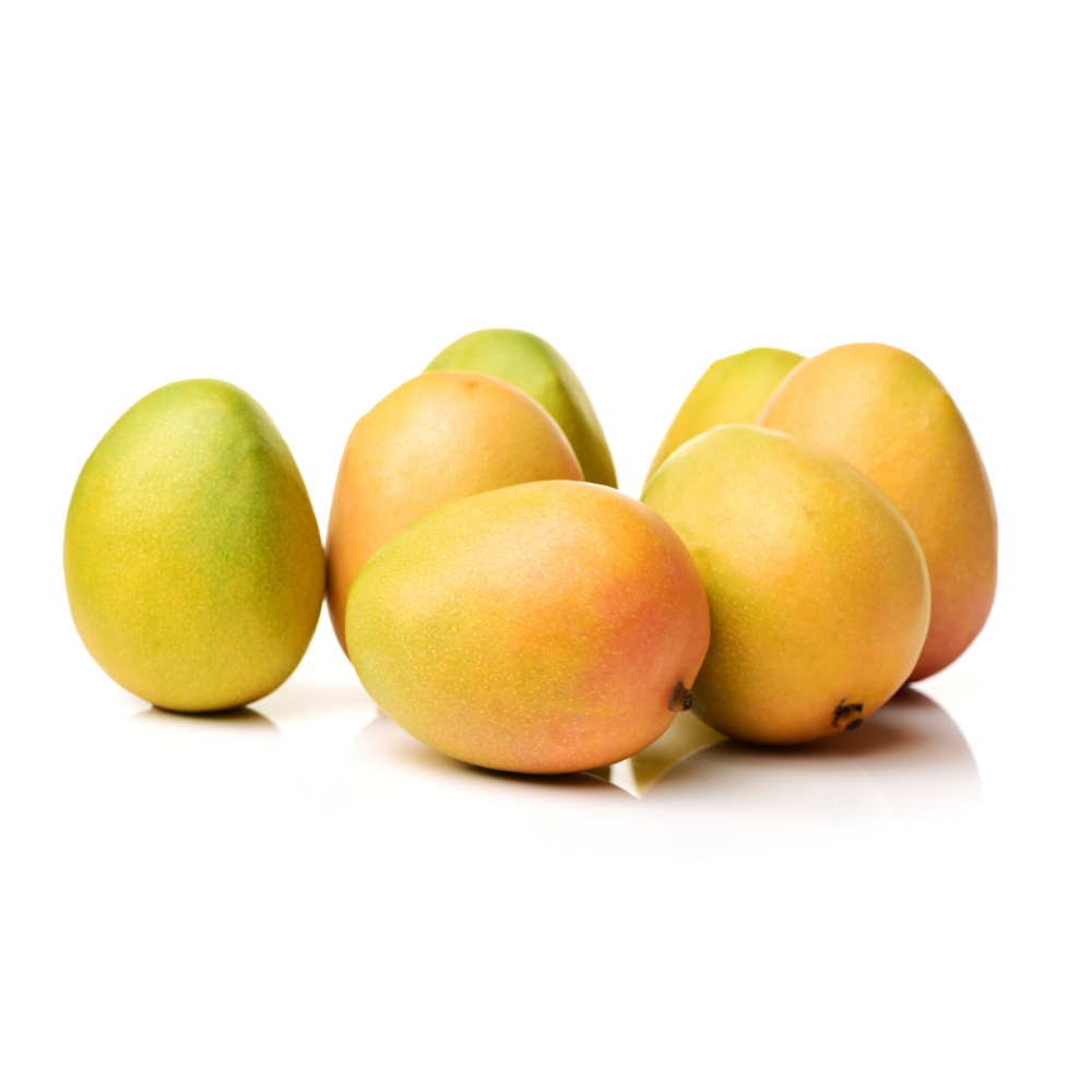 Premium Kesar Mango - 1 Dozen (12 PCS) - Spotless Fruits India