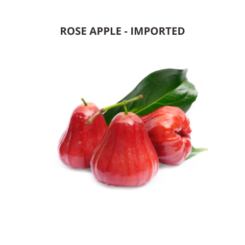 Rose Apples - Imported