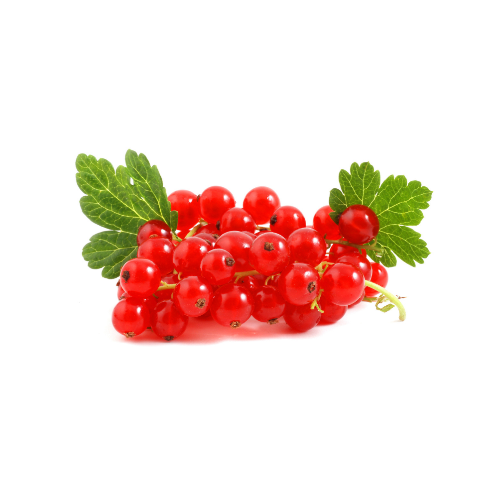 Fresh Red Currant - Imported - Spotless Fruits India