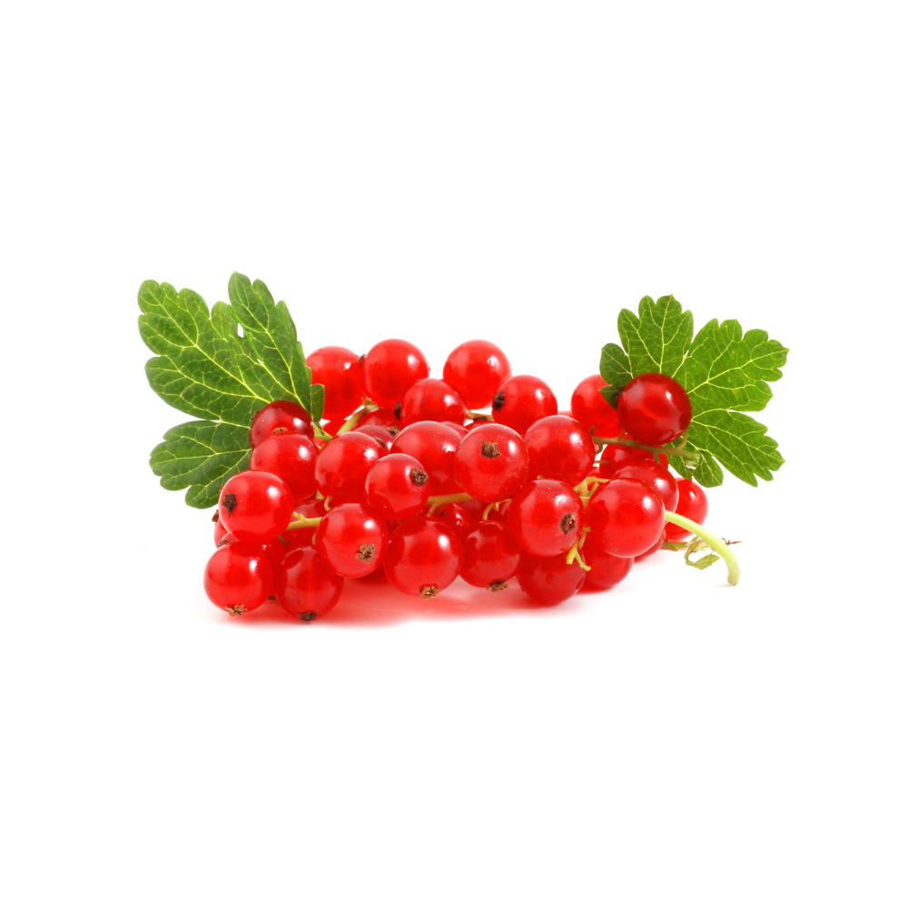 Fresh Red Currant - Imported | Spotless Fruits India