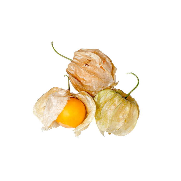 Fresh Cape Gooseberry Imported - 100 Grams - Spotless Fruits India