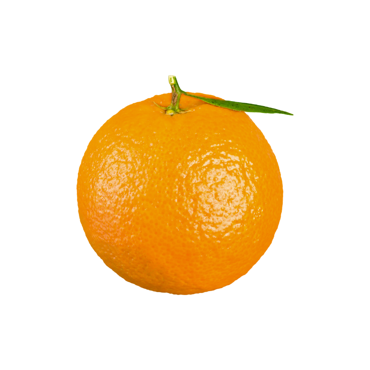 Malta Orange Imported - 1 KG - Spotless Fruits India