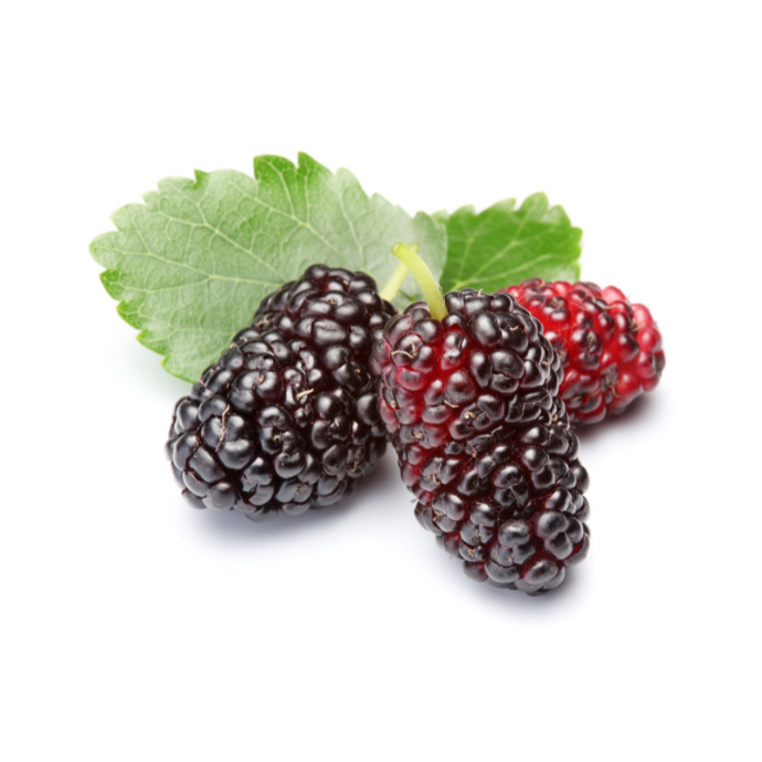 Fresh Mulberry - 150 Grams - Spotless Fruits India