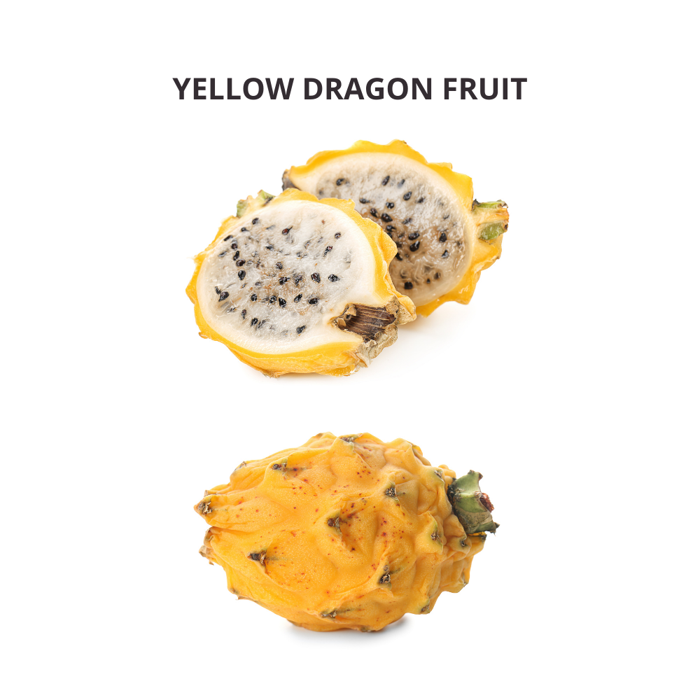 Pitahayas / Yellow Dragon Fruit - Imported (Ecuador) - Spotless Fruits India
